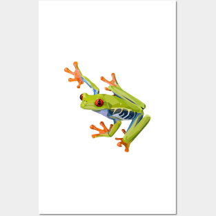 Geometric Tree Frog Posters and Art